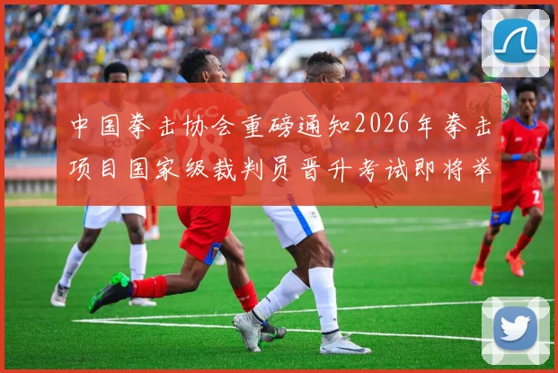 中国拳击协会重磅通知2026年拳击项目国家级裁判员晋升考试即将举办